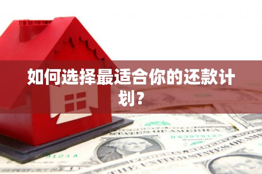 勐海如何选择最适合你的还款计划？