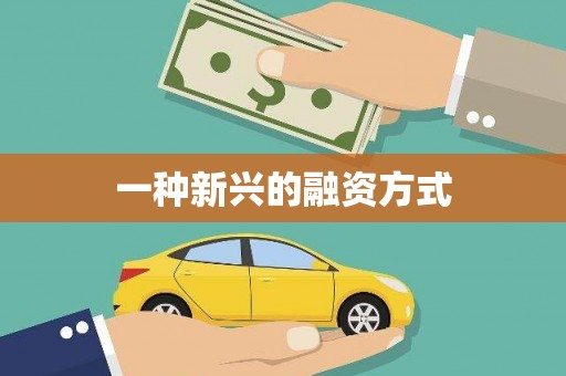 勐海一种新兴的融资方式