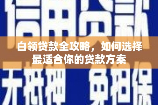 勐海白领贷款全攻略，如何选择最适合你的贷款方案