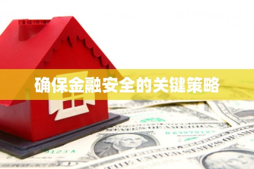 勐海确保金融安全的关键策略