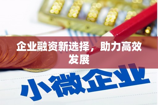 勐海企业融资新选择，助力高效发展