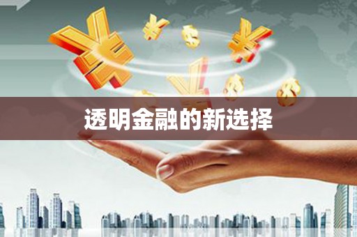 勐海透明金融的新选择