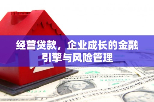 勐海经营贷款，企业成长的金融引擎与风险管理
