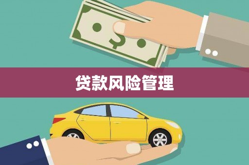 勐海贷款风险管理