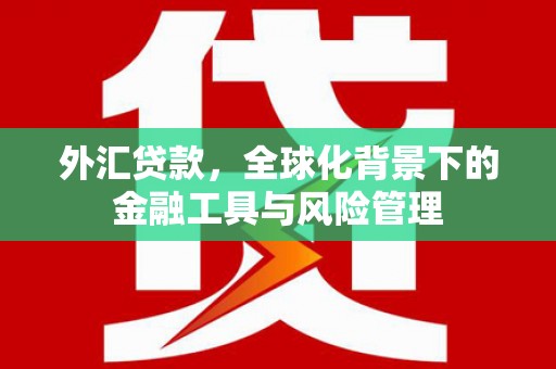 勐海外汇贷款，全球化背景下的金融工具与风险管理