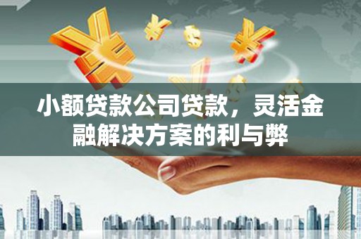 勐海小额贷款公司贷款，灵活金融解决方案的利与弊