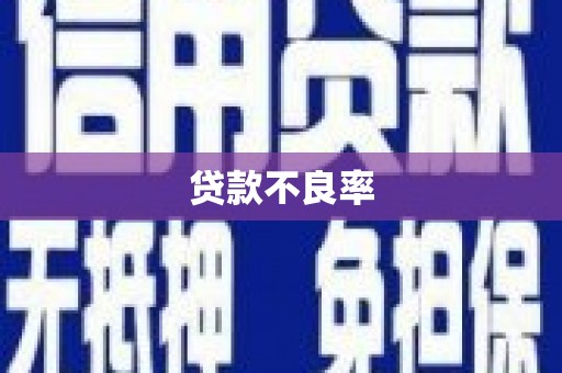 勐海贷款不良率
