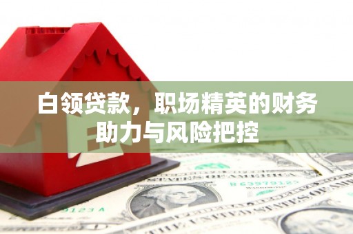 勐海白领贷款，职场精英的财务助力与风险把控