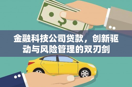 勐海金融科技公司贷款，创新驱动与风险管理的双刃剑