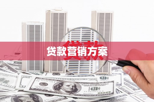勐海贷款营销方案